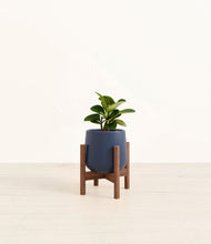 Load image into Gallery viewer, Deep Navy stand:walnut
