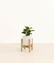 Load image into Gallery viewer, Cotton White stand:bamboo

