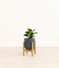 Load image into Gallery viewer, Iron Gray stand:bamboo
