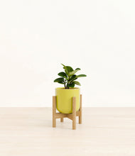 Load image into Gallery viewer, Key Lime Yellow stand:bamboo
