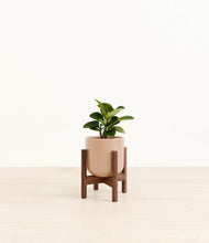 Load image into Gallery viewer, Glossy Pink stand:walnut
