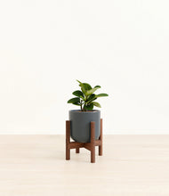 Load image into Gallery viewer, Iron Gray stand:walnut
