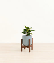 Load image into Gallery viewer, Misty Blue stand:walnut
