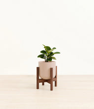 Load image into Gallery viewer, Sandy Pink stand:walnut
