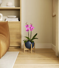Load image into Gallery viewer, Deep Navy stand:bamboo
