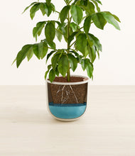 Load image into Gallery viewer, Natural Bamboo
