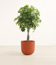 Load image into Gallery viewer, Earth Red*****Profile
