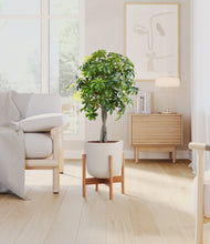 Load image into Gallery viewer, Natural Bamboo stand:bamboo
