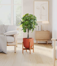 Load image into Gallery viewer, Earth Red stand:bamboo
