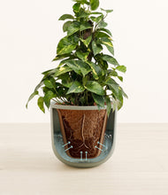 Load image into Gallery viewer, Sage Green stand:all
