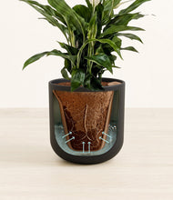 Lade das Bild in den Galerie-Viewer, Stone Black stand:all
