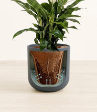 Lade das Bild in den Galerie-Viewer, Iron Gray stand:all
