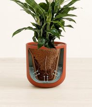 Lade das Bild in den Galerie-Viewer, Earth Red stand:all
