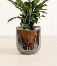 Lade das Bild in den Galerie-Viewer, Sage Green stand:all
