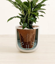 Lade das Bild in den Galerie-Viewer, Natural Bamboo stand:all
