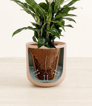 Lade das Bild in den Galerie-Viewer, Sandy Pink stand:all

