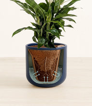 Lade das Bild in den Galerie-Viewer, Twilight Blue stand:all
