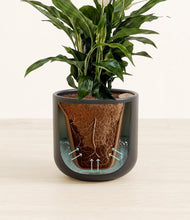 Lade das Bild in den Galerie-Viewer, Stone Black stand:all
