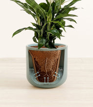Lade das Bild in den Galerie-Viewer, Reactive Aqua stand:all
