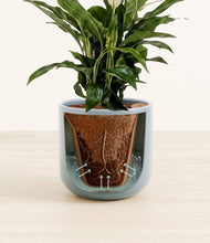 Lade das Bild in den Galerie-Viewer, Misty Blue stand:all
