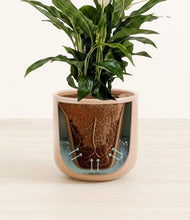 Lade das Bild in den Galerie-Viewer, Glossy Pink stand:all
