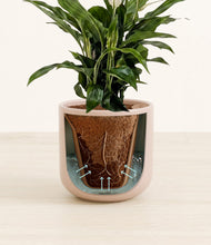 Lade das Bild in den Galerie-Viewer, Sandy Pink stand:all
