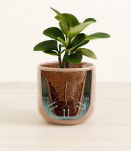 Load image into Gallery viewer, Hammered Peach Pink stand:all
