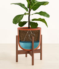 Load image into Gallery viewer, Earth Red stand:walnut
