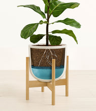 Load image into Gallery viewer, Natural Bamboo stand:bamboo
