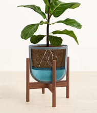 Load image into Gallery viewer, Iron Gray stand:walnut
