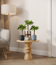 Load image into Gallery viewer, Pebble Shore stand:one_stand
