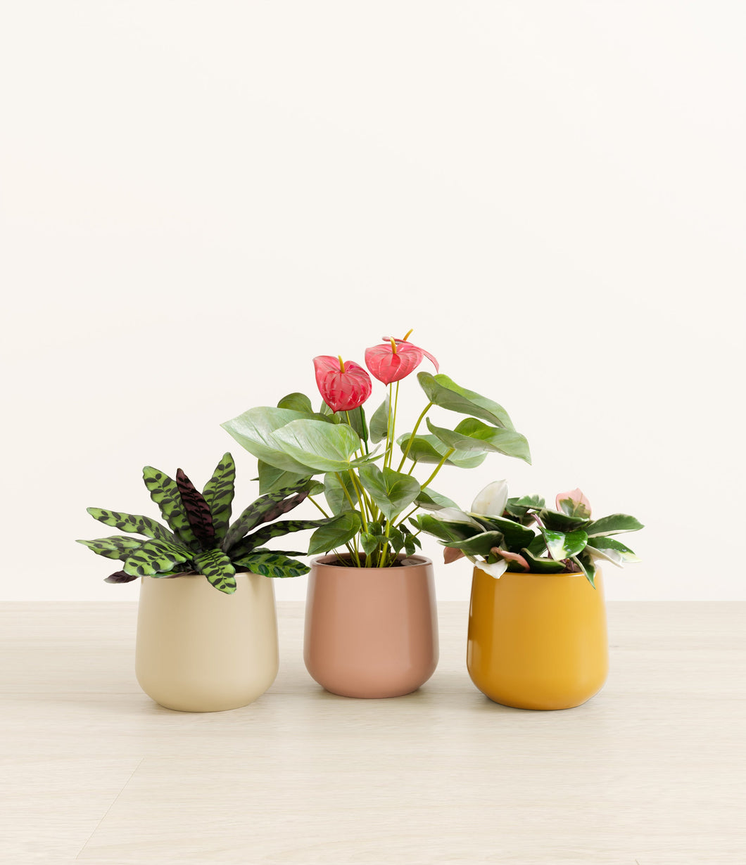 Evening Sky*****Profile