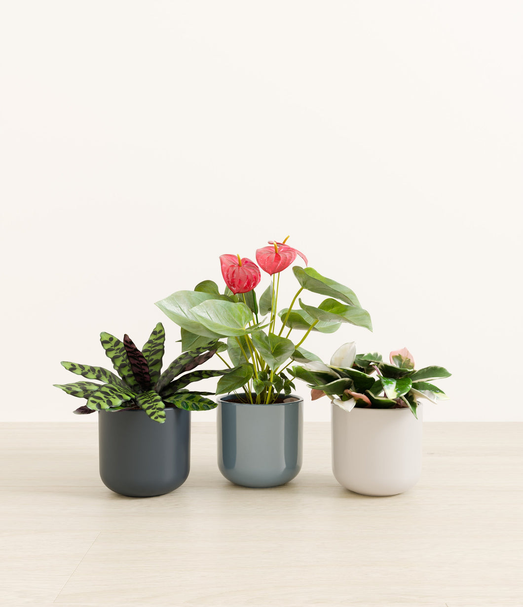 Pebble Shore*****Profile