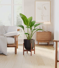 Load image into Gallery viewer, Stone Black stand:walnut
