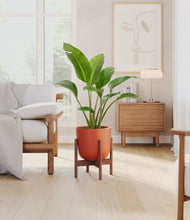 Load image into Gallery viewer, Earth Red stand:walnut
