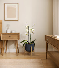 Load image into Gallery viewer, Deep Navy stand:bamboo
