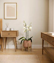 Load image into Gallery viewer, Calm Rose stand:bamboo
