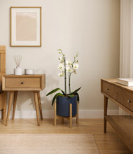Load image into Gallery viewer, Deep Navy stand:bamboo
