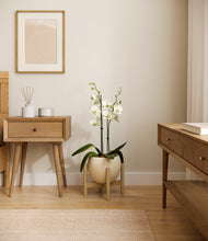 Load image into Gallery viewer, Shiny EggWhite stand:bamboo
