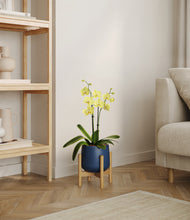 Load image into Gallery viewer, Deep Navy stand:bamboo
