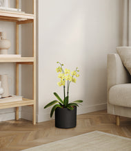 Load image into Gallery viewer, Black
