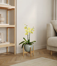 Load image into Gallery viewer, Deep Ocean stand:bamboo

