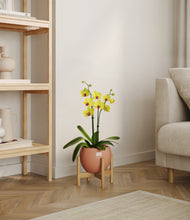 Load image into Gallery viewer, Calm Rose stand:bamboo
