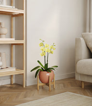 Load image into Gallery viewer, Calm Rose stand:bamboo
